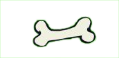 bone graphic
